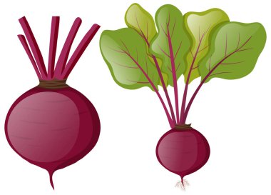 Beetroots yeşil yaprakları ile