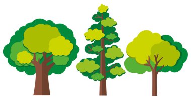 Farklı ağaç türleri