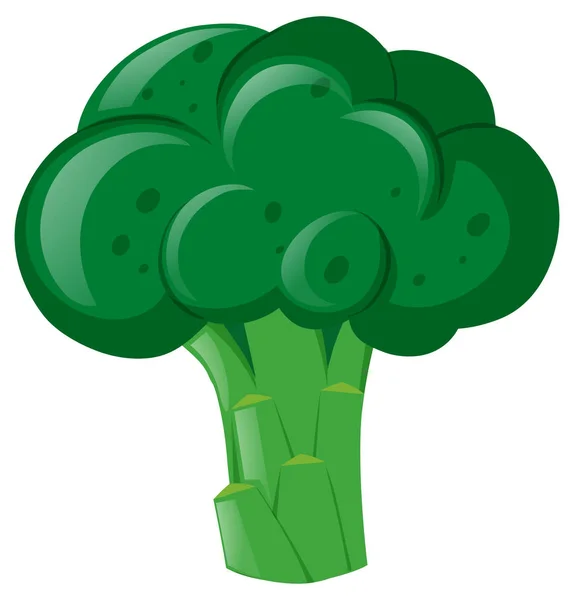 Brokoli segar pada latar belakang putih - Stok Vektor