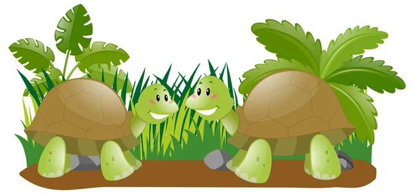 Dos tortugas en el jardín — Vector de stock