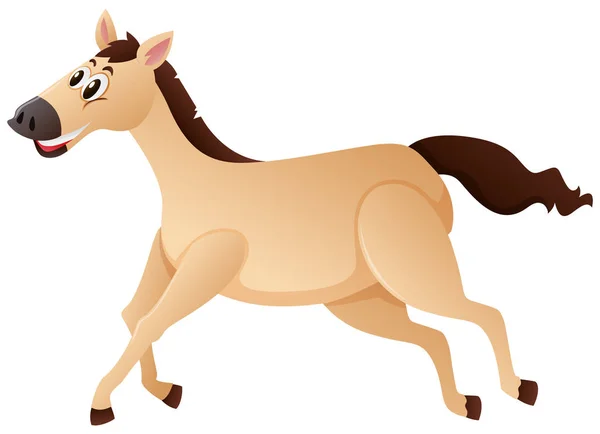 Brown horse running on white background — Stock Vector