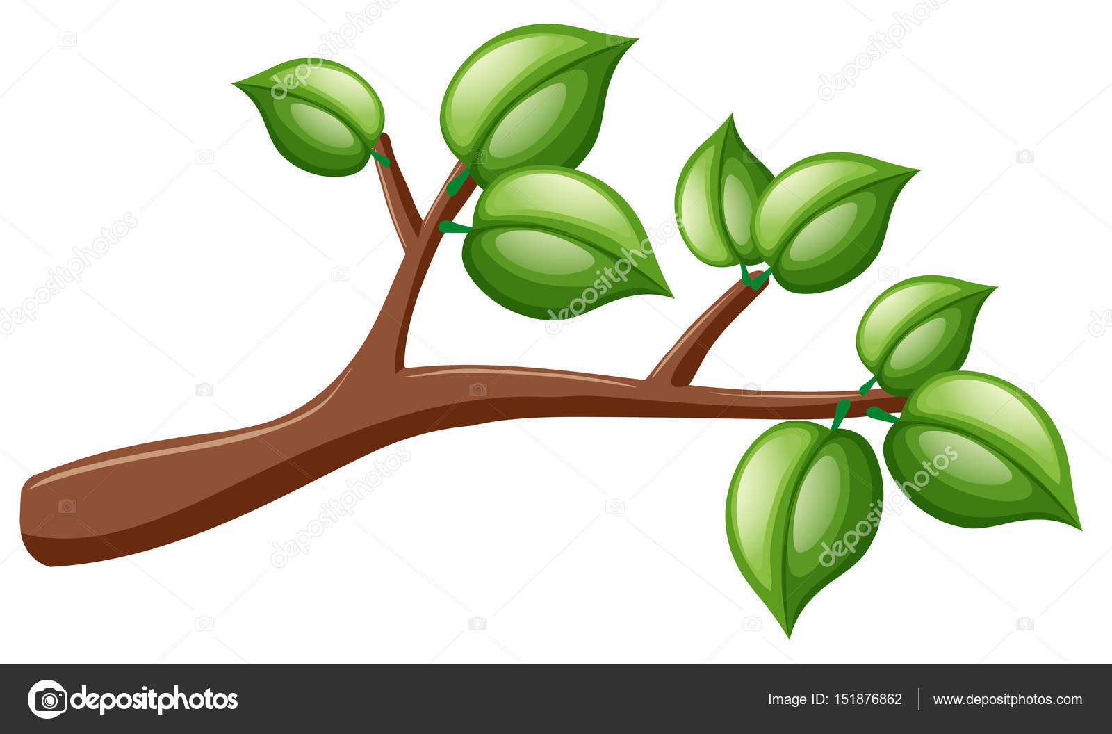 Ast mit grünen Blättern — Stockvektor © brgfx #151876862