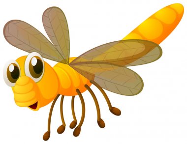 Yusufçuk sarı renkte