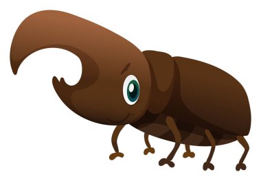 Kahverengi kabuk böceği