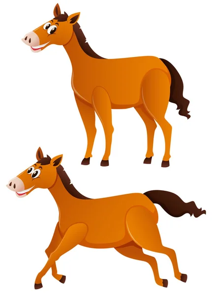 Twee bruine paarden met blij gezicht — Stockvector