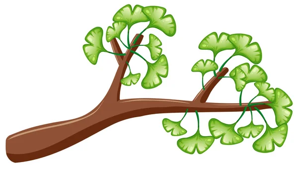 Πράσινα φύλλα σε ξύλινα υποκατάστημα — Διανυσματικό Αρχείο