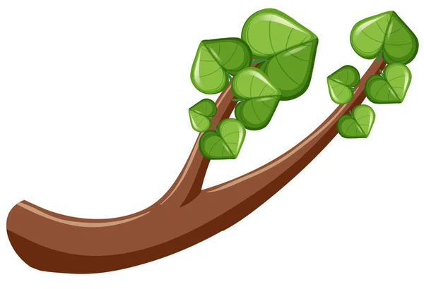 Πράσινα φύλλα σε κλάδο — Διανυσματικό Αρχείο