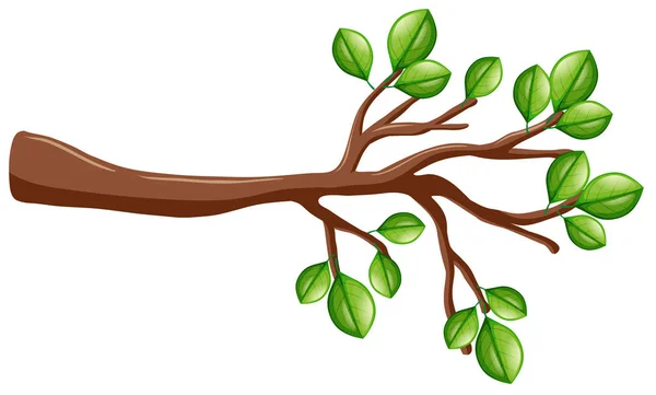 Δέντρο κλαδί με πράσινα φύλλα — Διανυσματικό Αρχείο