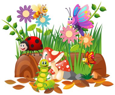 Farklı türlerde Bahçe böcekler