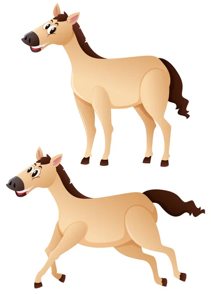 Paard in staande en lopende posities — Stockvector
