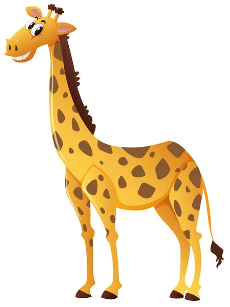 Girafa feliz no fundo branco — Vetor de Stock