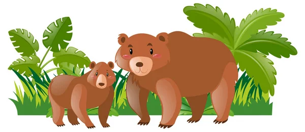 Μητέρα αρκούδα και μικρό cub — Διανυσματικό Αρχείο