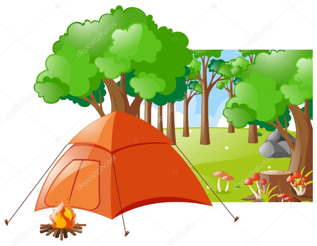 Forest scene with tent and campfire