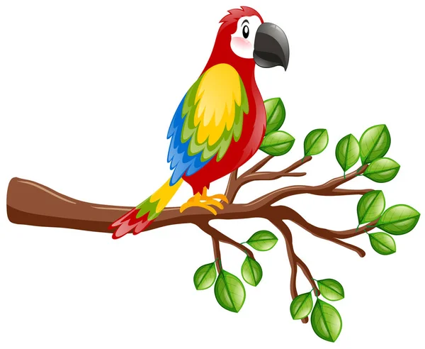 Pássaro de papagaio no ramo —  Vetores de Stock