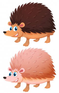 Beyaz arka plan üzerinde iki sevimli kirpi