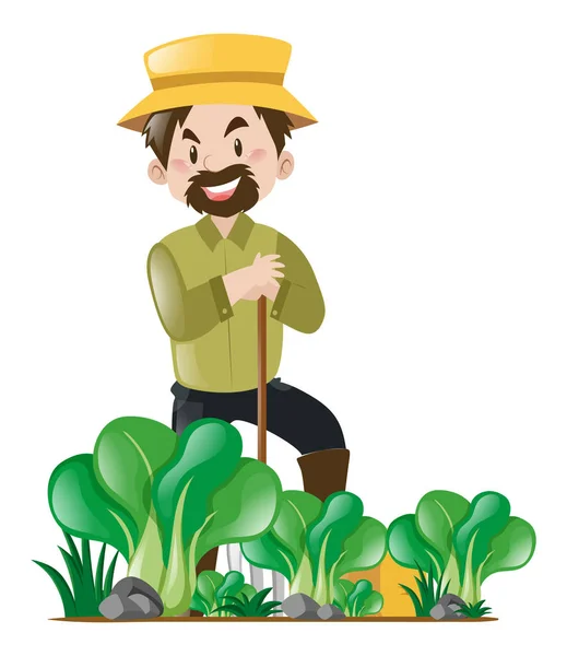 Фермерський та овочевий сад — стоковий вектор