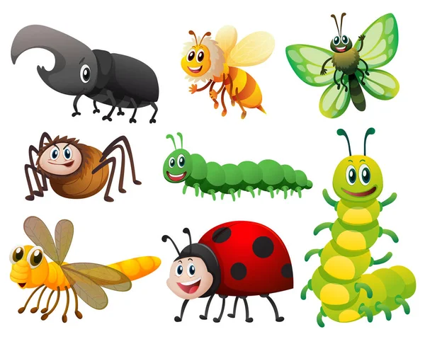 Diferentes tipos de pequenos insetos — Vetor de Stock