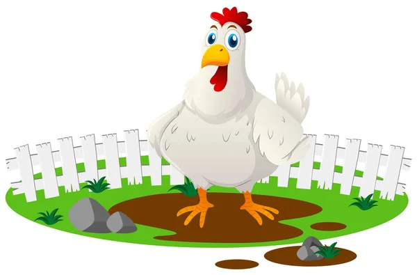 Biały kurczak w gospodarstwie — Wektor stockowy