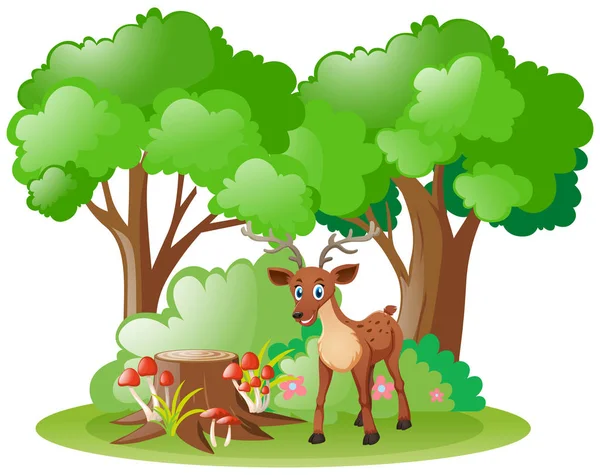 森の中の小さな子鹿 — ストックベクタ