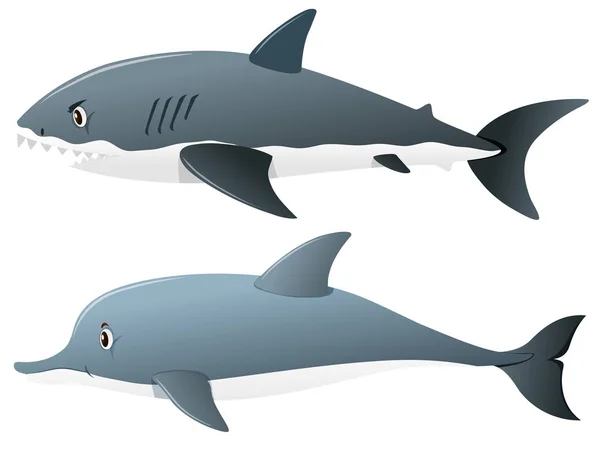 灰色的鲨鱼和海豚 — 图库矢量图片