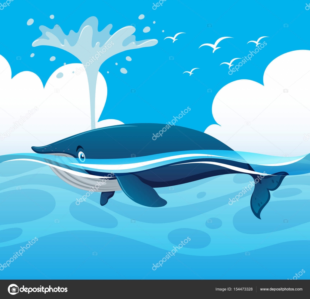 泼水在海洋中的鲸图库矢量图©brgfx 154473328