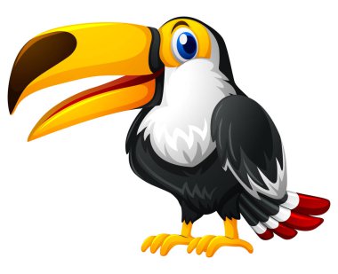 Beyaz arka plan üzerinde toucan kuş
