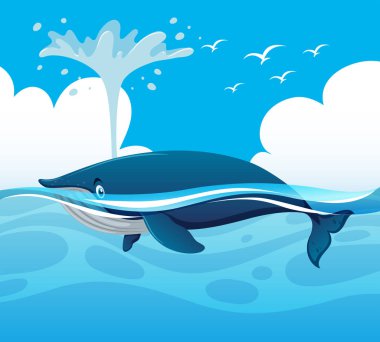 Balina okyanus su