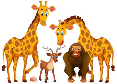 Dört tür hayvanlar