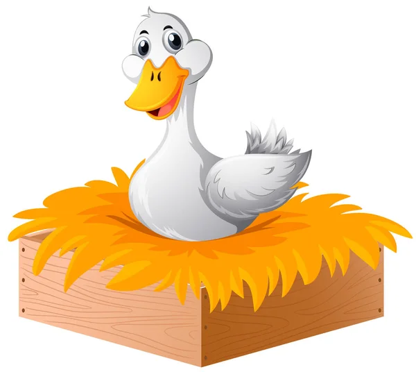 Pato blanco en el nido — Vector de stock