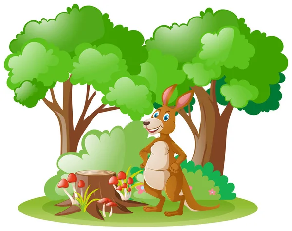 Lindo canguro en el bosque — Vector de stock