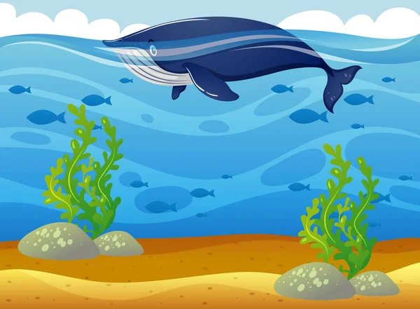 Whale simma i havet — Stock vektor