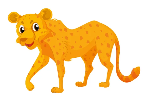 Cute cheetah on white background — Stock Vector