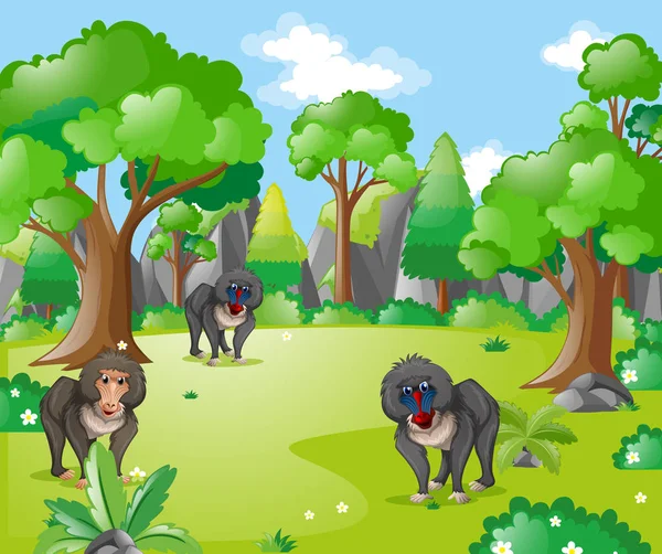 Singes babouins dans la forêt — Image vectorielle