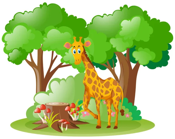 Giraffa selvatica nella foresta — Vettoriale Stock