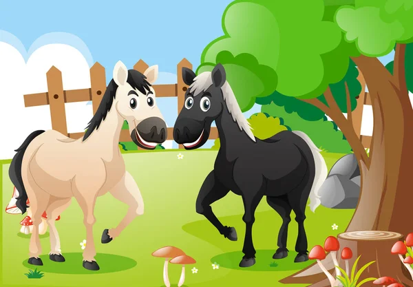 Two horses in the farm — Stock Vector