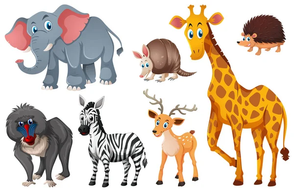 Many types of wild animals — Stock Vector