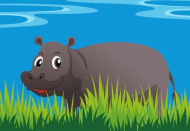 Bahçede mutlu su aygırı