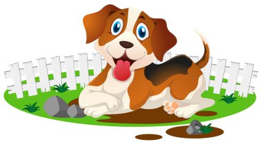 Çamurlu su birikintisi içinde köpek yavrusu