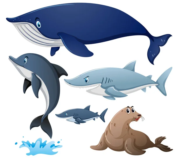 Hajar och andra havslevande djur — Stock vektor
