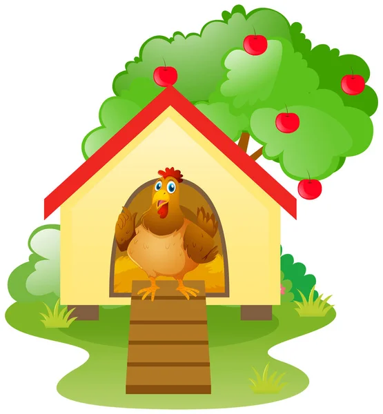 Chicken in the chicken coop — Stock Vector