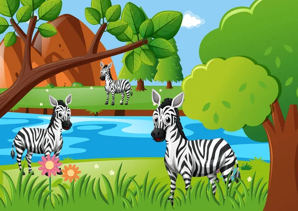 Zebra a viver junto ao rio — Vetor de Stock