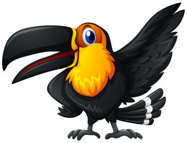 Beyaz arka plan üzerinde toucan kuş