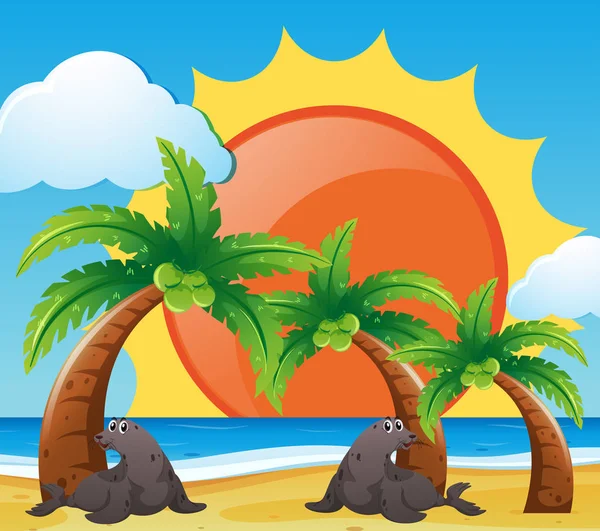 Dos focas en la playa — Vector de stock