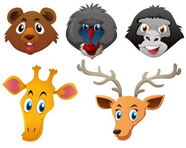 Beyaz arka plan üzerinde hayvan yüzleri