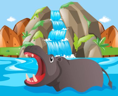 Şelale, vahşi su aygırı