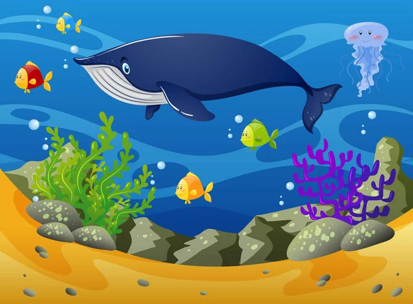 Walvis en visje in de zee — Stockvector