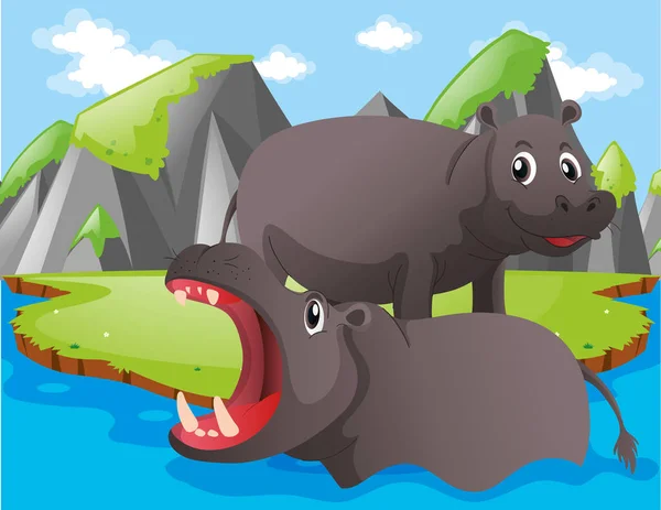 Dwa hipopotamy żyjących nad rzeką — Wektor stockowy