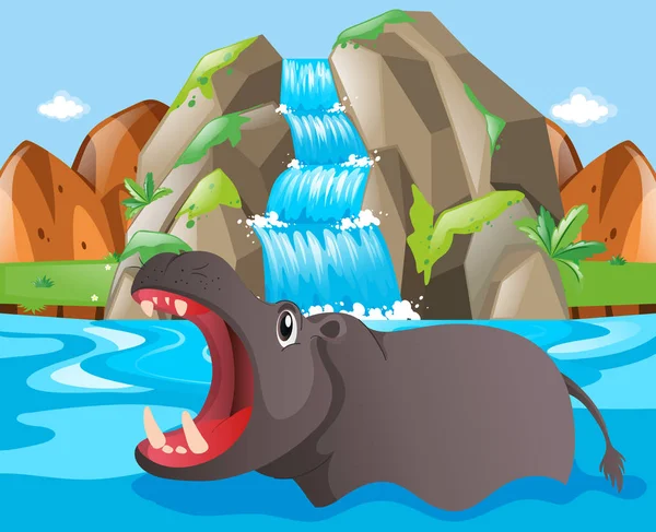 Wild hippo at the waterfall