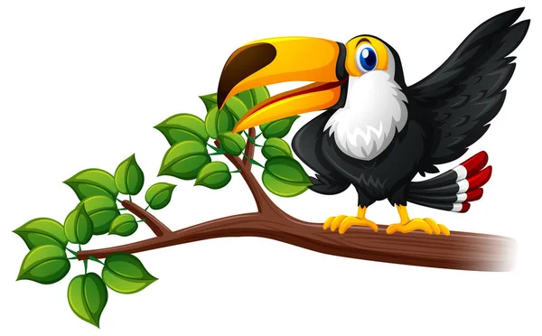 Toucan vogel op de tak — Stockvector