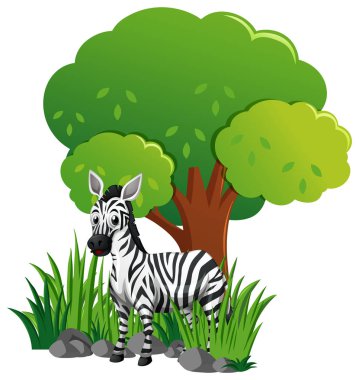 Zebra Bahçe